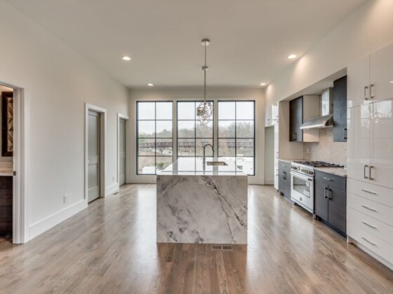 Modern kitchen with Best of Quartzite Kitchen Countertop Color