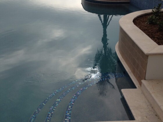 Calm pool water reflecting sky and a palm tree near a curved stone edge.