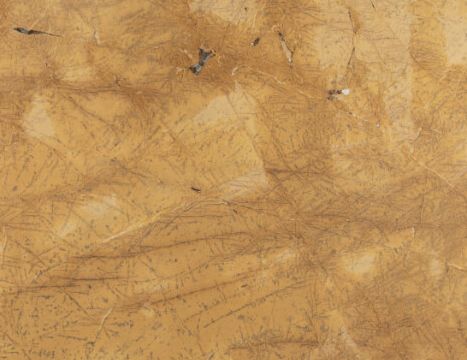 Triana Yellow Polished Marble Slab 1