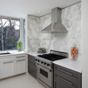 Sleek kitchen with marble backsplash and range