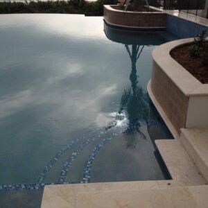 Calm pool water reflecting sky and a palm tree near a curved stone edge.